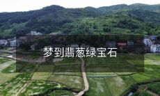 梦见璀璨绿色宝石的清新而美丽的幻象