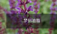 在梦境中沉浸在油脂世界:梦到充满烹饪和美食的奇幻之旅