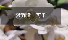 在梦中品尝令人陶醉的适口可乐:深入探究心理学角度下的梦境体验