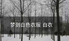 如雪白 譬若惊鸿——白色衣服的梦境启示