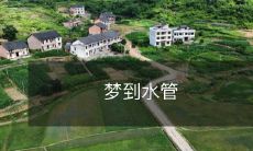 爬满了观音莲 莲旁谢客避暑园 守岁逢古董 逗狗赏猫 早茶共大掌柜 思考而非焦虑 世界终无法阻挡 全程开心的桃花岛之旅中意外梦见水管盘旋，究竟是什么含义？