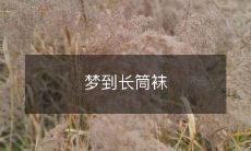 的搭配技巧与时尚潮流:如何在不同场合穿出时尚感和舒适度?