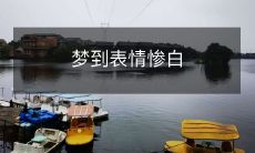 今晚我梦到了一个令人不安的情景，主题是表情惨白，令人感到深深的不安与紧张