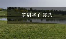 梦见自己手持斧子的恍惚场景和砍劈的斧头感受：一个关于梦境和工具的情景描绘