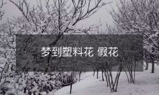 梦中遇见塑料花：探究现代假花的流行背后的文化因素