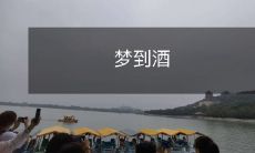 醉眼朦胧间,梦游酒魔境:探寻梦幻酒景、品味无穷酒味、感受酩酊情怀的惊险之旅!