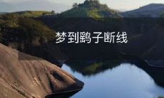 在梦中经历鲲鹏翱翔的壮丽场面,突然响起断线声——梦到鹞子断线的全过程