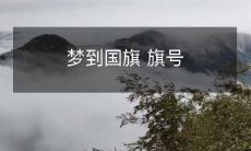 梦到了国旗，沉浸在旗帜的意义和象征中