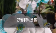 意义深刻的梦境:偶遇手提包,为惊喜与短暂快乐而感慨万千