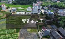 在梦中体验独自一人在单人床上的惊心动魄的情境