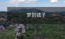 反映了内心自我意识的映像——探寻意识形态与自我认知的探究之旅