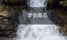 梦见自己沉溺毒瘾时,如同身处荒漠中的孤魂野鬼,身体与灵魂逐渐腐朽败坏的意象