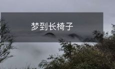 在梦里,我发现自己坐在一把长椅子上,感受着它的柔软和舒适:一个充满想象力的梦境