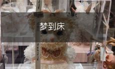 上的女人- 我所看到的是自己的内心映照