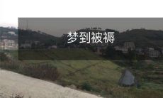 包覆的我：夜神在睡眠中观察到的大脑活动现象及其对梦境中被褥包覆的解释