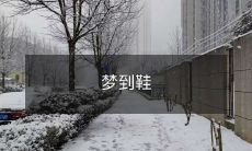 醒来之后，我感到寂寞和无助——细思恐极的“梦到鞋”令我陷入了思考和回忆中