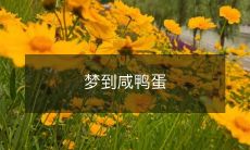 如何理解梦见咸鸭蛋以及梦境中咸鸭蛋所代表的含义？