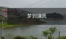 在梦中体验了持枪人的紧张和战斗氛围——梦到弹壳的经历