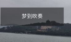 乐器的人:一位在梦中吹奏乐器的人的环境和感受描述