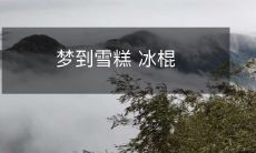 我做梦时被想象出来的美味雪糕和冰棍所诱惑,忍不住流口水!