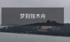 在夜晚的梦境中，我在一艘独木舟上翻滚，穿越着沉静而广阔的湖海之间，经历着奇妙的冒险与启示