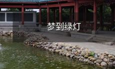 醒来后追思无果的梦境:我究竟梦到了什么?是那盏闪烁着绿色的交通灯,还是它所代表的自由与无限可能?