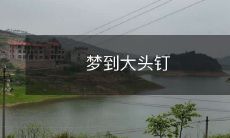 在梦中遇见巨大的大头钉：一个令人印象深刻、活灵活现的梦境故事