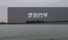 在梦中见到一根竹竿,它的形状、质地、颜色和所处的环境细节引发了我的深思和情感交织的感觉