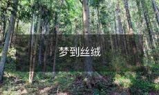 柔软丝绒之梦：深入探索梦境中的感性情感和视觉体验