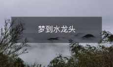 在梦中操纵着水龙头的奇妙旅程