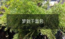 我梦见自己在亲手制作面包时，沉浸在面团的芳香中，迎来了一个充满实现的熟料过程，最终成功地将面团化为了一块香脆可口的面包！
