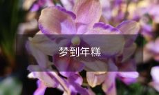 在梦中品尝香甜可口、柔软Q弹的年糕，既满足了味蕾的享受，又充满了温馨和幸福感！