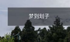 在梦境中体验划船的美妙感觉:梦见划子、划船,感受水波荡漾,尽情享受湖畔美景!