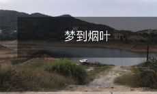 在梦中遇见的烟叶:探寻其隐含的象征意义和内在涵义