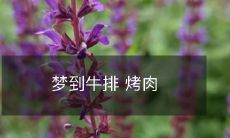 自助烤肉餐厅入梦，美味多汁的牛排令人食指大动！