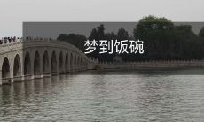 不经意间沉醉的奇妙幻境：夜晚梦见自己正手捧着光滑光滑的饭碗，均匀的香气扑鼻而来，心中充满着满足和惬意的情感体验！