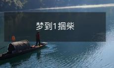 木棍，一位男子的奇幻之旅：跟随他的梦境寻找解释和启示