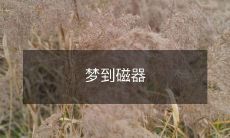 梦见自己参观了一座古老磁器博物馆，被各种精美的瓷器器物所吸引，沉醉于华美的大明五彩、钧瓷、汝窑等古瓷之中的讲述