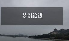 梦见自己付款现金远超超出预算,随后担心着金融危机和财务压力的梦境体验