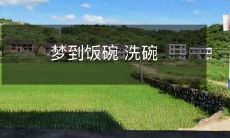 梦见了一场美妙的晚宴,但现实是需要亲手洗净一堆餐具的无聊洗碗之旅