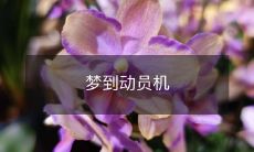 如何解释梦见动员机并探究其潜在象征意义？