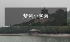 - 这是一个关于在梦中遇见小包裹的故事