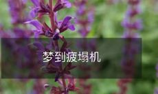 在梦中经历疲劳失控的飞行:逐渐失去控制的飞机引发的恐惧和不安