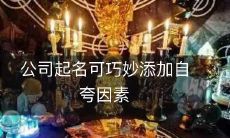 如何在公司命名中巧妙地融入自夸因素,让品牌更具吸引力和独特性?