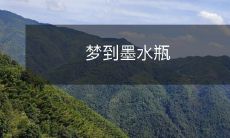 我梦到了一个黑色笔墨填充的墨水瓶，让人想起了古老的书籍和文学作品