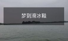 如何分析梦到穿着滑冰鞋的场景,并理解其中的象征意义?