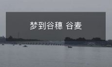 梦中探究麦田秘密:追寻谷穗与谷麦的缤纷精彩世界