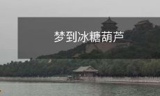 追寻梦境中的味道：在梦中品尝冰糖葫芦的美妙感受与情感体验