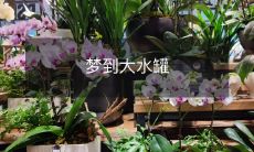 梦见一座巨大的水罐,泛滥着湍急的洪水,并且在梦中经历了无尽的深水区和暗流涌动的狂涡