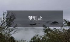 海边漫步的梦里，我发现自己正在漫步路上寻找棕色沙滩和翻滚的海浪，原来是因为我梦到了盐的滋味！